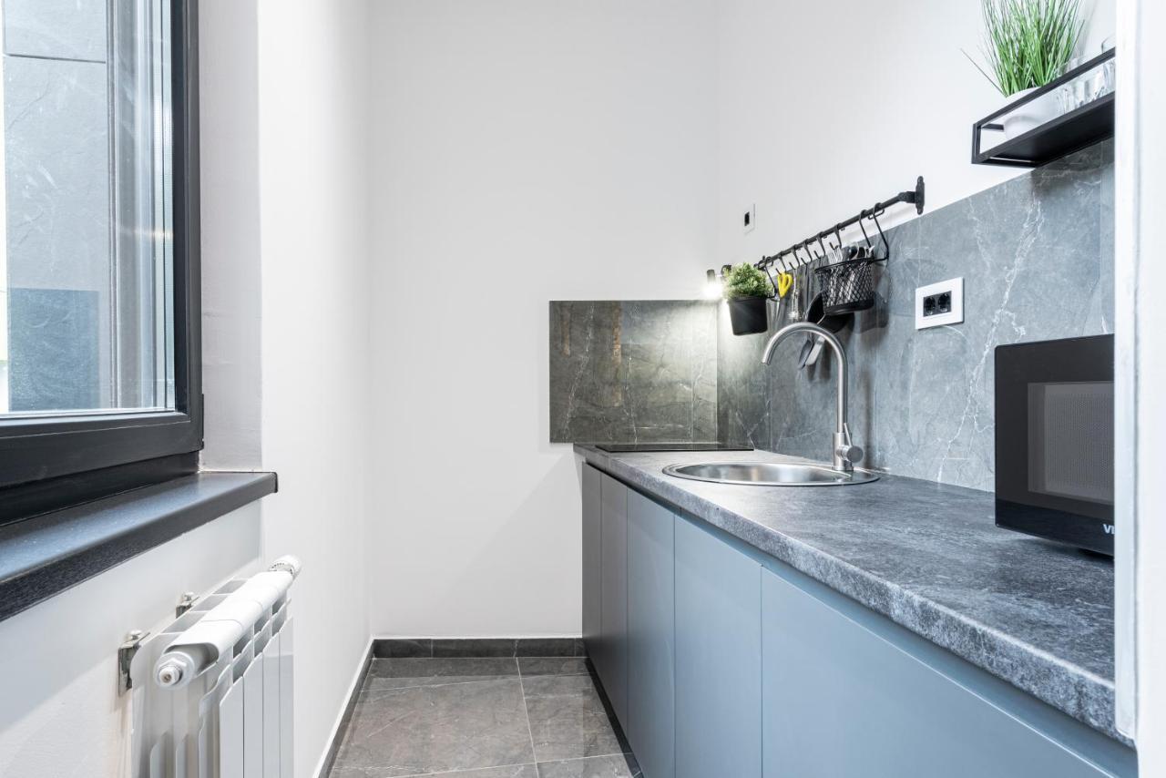 Vertigo Modern Studio-Free Private Parking-Fast Wi-Fi Újvidék Kültér fotó